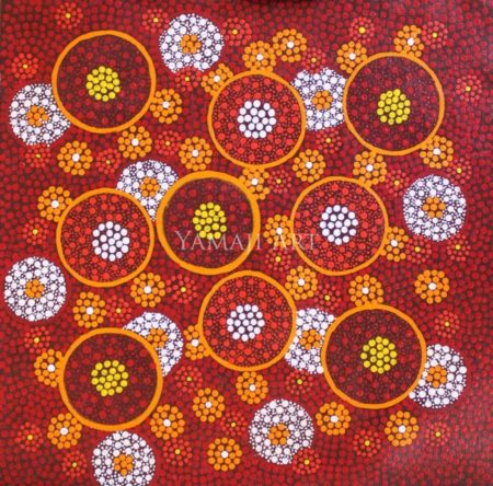 Seeds