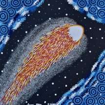 The Comet Susan Merry 2022