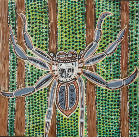 Gemma Merritt's Huntsman Spider